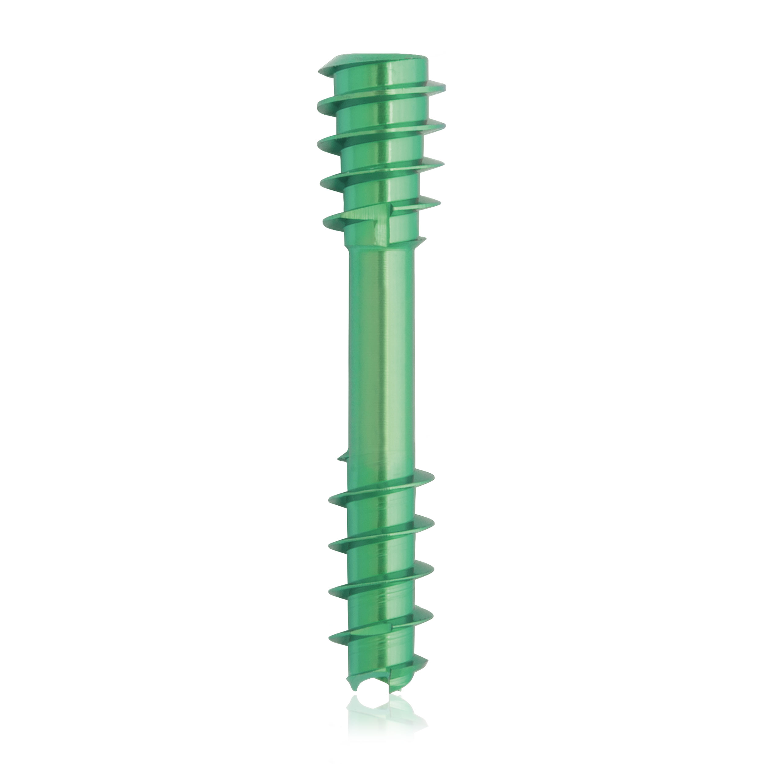 L = 22mm